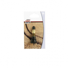 VALVE TUBELESS AIR/EAU