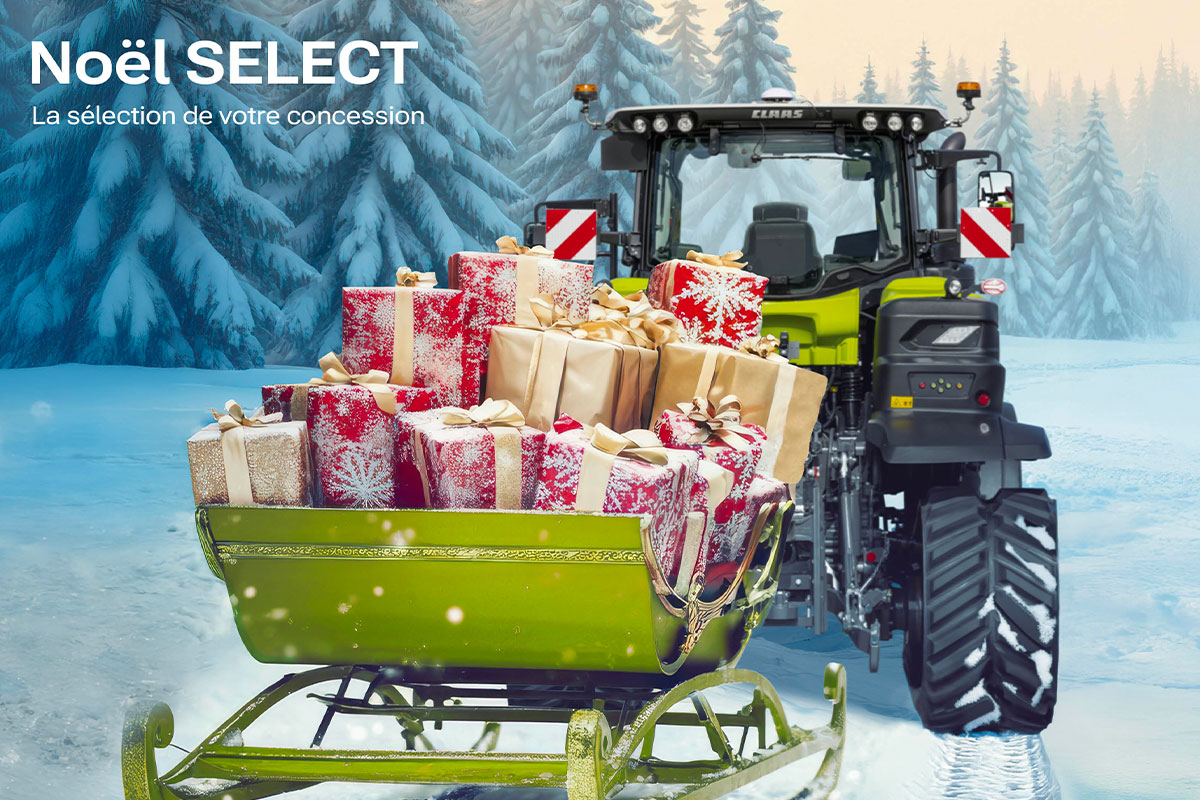 Il n’est jamais trop tôt pour préparer Noël !